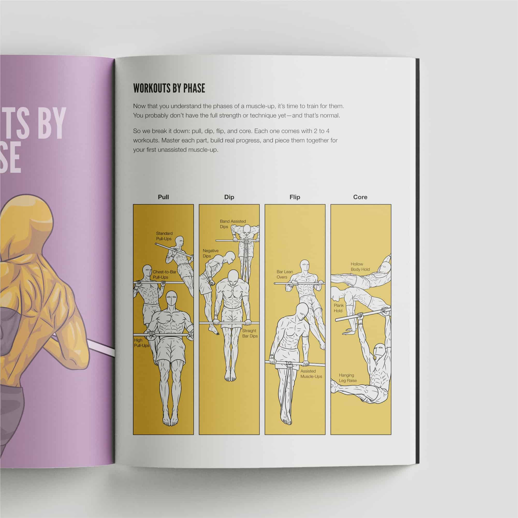 Calisthenics Playbook for Muscle-ups (Digital) - Image 4