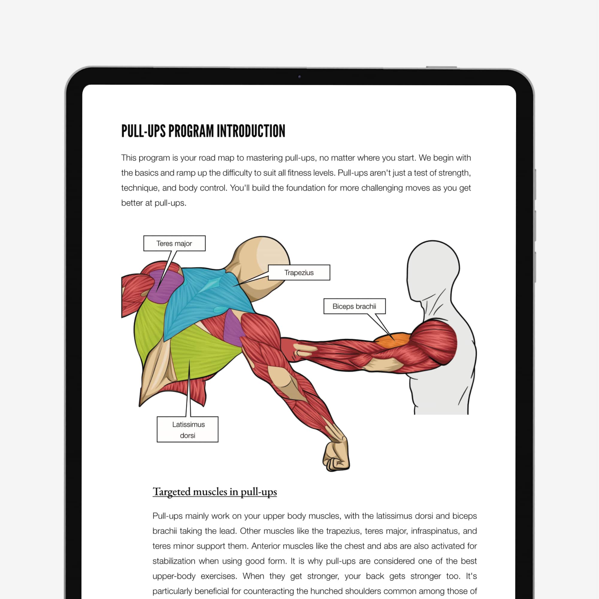 Calisthenics Playbook for Push Pull Squat (Digital book) - Image 3