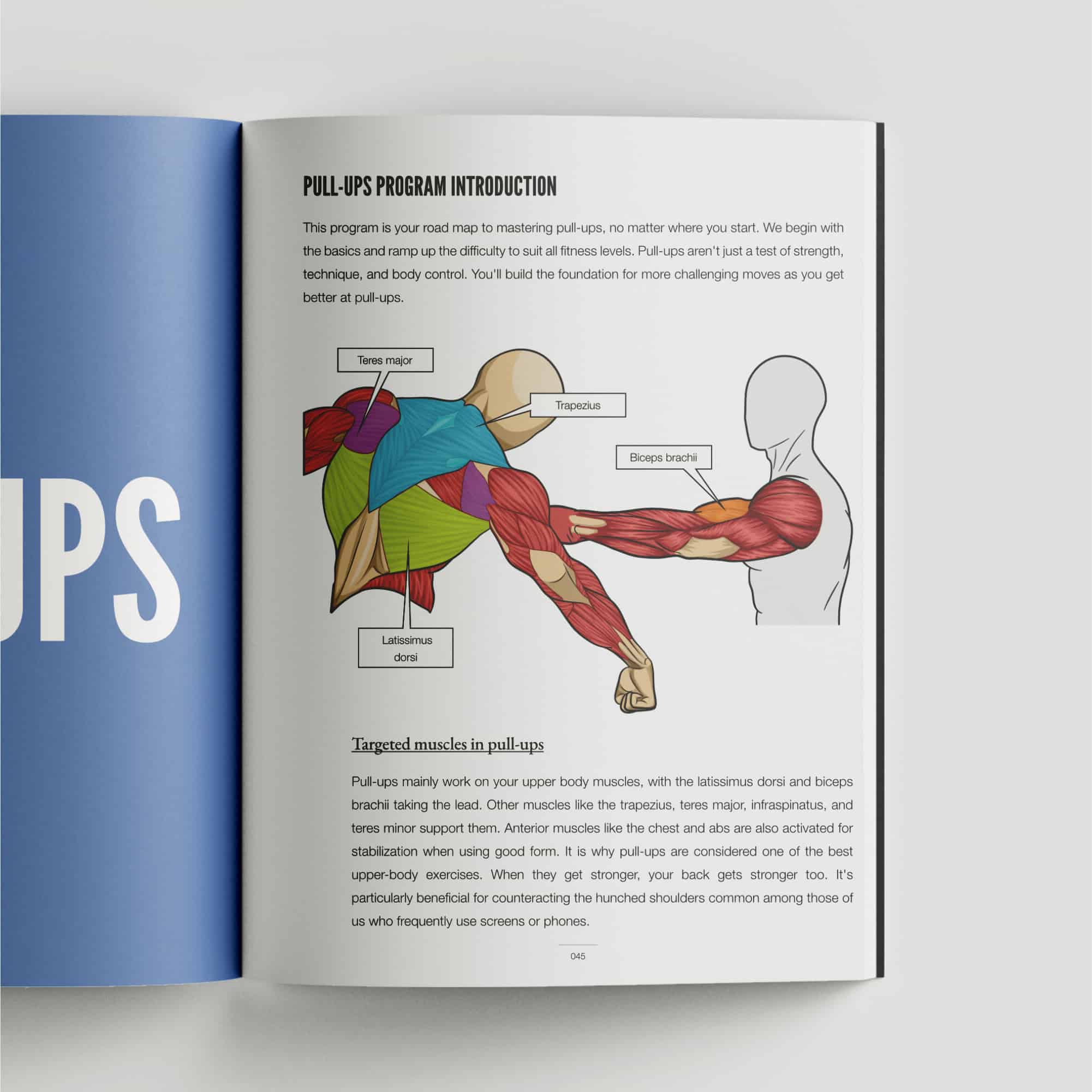 Calisthenics Playbook for Push Pull Squat (Paperback) - Image 3